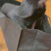 ヒメ日記 2025/08/11 23:39 投稿 渋谷みく 一夜妻