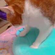 ヒメ日記 2025/09/06 09:19 投稿 渋谷みく 一夜妻