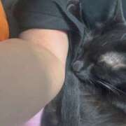 ヒメ日記 2025/10/05 22:39 投稿 渋谷みく 一夜妻