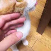 ヒメ日記 2025/10/23 12:29 投稿 渋谷みく 一夜妻