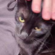 ヒメ日記 2025/11/02 22:19 投稿 渋谷みく 一夜妻