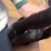 ヒメ日記 2025/11/04 11:39 投稿 渋谷みく 一夜妻