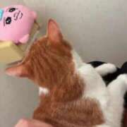 ヒメ日記 2025/11/09 20:49 投稿 渋谷みく 一夜妻