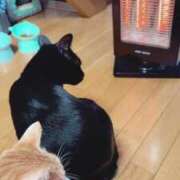 ヒメ日記 2025/12/04 11:19 投稿 渋谷みく 一夜妻