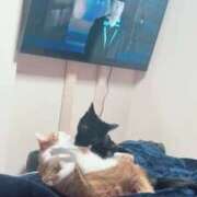 ヒメ日記 2025/12/05 19:39 投稿 渋谷みく 一夜妻