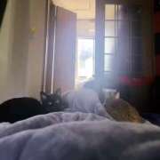 ヒメ日記 2025/12/09 15:49 投稿 渋谷みく 一夜妻