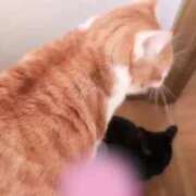 ヒメ日記 2025/12/18 16:19 投稿 渋谷みく 一夜妻