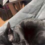 ヒメ日記 2026/02/12 13:49 投稿 渋谷みく 一夜妻