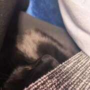 ヒメ日記 2026/02/20 15:10 投稿 渋谷みく 一夜妻