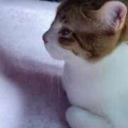 ヒメ日記 2026/02/22 11:49 投稿 渋谷みく 一夜妻