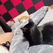 ヒメ日記 2026/02/28 23:59 投稿 渋谷みく 一夜妻