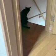 ヒメ日記 2026/03/01 16:29 投稿 渋谷みく 一夜妻