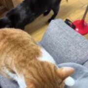 ヒメ日記 2026/03/05 12:51 投稿 渋谷みく 一夜妻