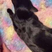 ヒメ日記 2026/03/09 00:39 投稿 渋谷みく 一夜妻