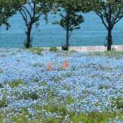 ヒメ日記 2026/05/10 15:49 投稿 渋谷みく 一夜妻