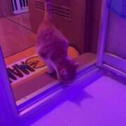 ヒメ日記 2026/05/13 22:09 投稿 渋谷みく 一夜妻