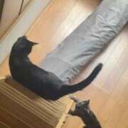 ヒメ日記 2026/07/14 18:12 投稿 渋谷みく 一夜妻