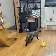 ヒメ日記 2026/08/07 12:29 投稿 渋谷みく 一夜妻