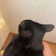 ヒメ日記 2026/08/14 13:30 投稿 渋谷みく 一夜妻