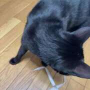 ヒメ日記 2026/09/02 13:01 投稿 渋谷みく 一夜妻