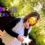 ヒメ日記 2025/11/19 05:42 投稿 なつな 東京妻