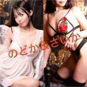 ヒメ日記 2025/11/24 13:48 投稿 なつな 東京妻