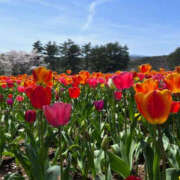 ヒメ日記 2025/05/02 14:49 投稿 ことり Lesson.1 水戸校