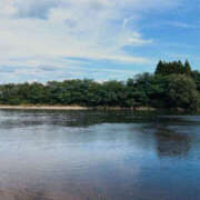 ヒメ日記 2025/08/24 16:13 投稿 ことり Lesson.1 水戸校