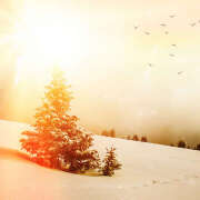 ヒメ日記 2025/02/03 22:32 投稿 りく アロマエステ アイウィッシュ