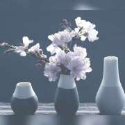 ヒメ日記 2025/02/06 01:16 投稿 りく アロマエステ アイウィッシュ