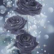 ヒメ日記 2025/03/11 01:08 投稿 りく アロマエステ アイウィッシュ