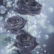 ヒメ日記 2025/03/17 23:50 投稿 りく アロマエステ アイウィッシュ