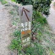 ヒメ日記 2025/03/02 07:27 投稿 Rika CELEB（セレブ）