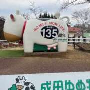 ヒメ日記 2025/03/04 07:17 投稿 Rika CELEB（セレブ）