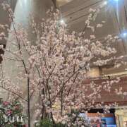 ヒメ日記 2025/03/18 07:43 投稿 Rika CELEB（セレブ）