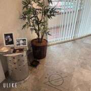 ヒメ日記 2025/11/11 10:21 投稿 Rika CELEB（セレブ）