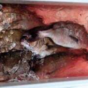 ヒメ日記 2025/11/13 07:08 投稿 Rika CELEB（セレブ）