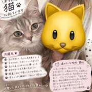 ヒメ日記 2026/09/19 18:00 投稿 マナツ秘書 秘書の品格 クラブアッシュ ヴァリエ