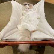 ヒメ日記 2025/05/06 14:20 投稿 もか spicyな女たち