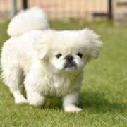 ヒメ日記 2025/07/11 21:39 投稿 もか spicyな女たち