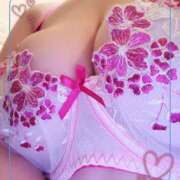 ヒメ日記 2025/11/01 08:11 投稿 ゆり 水戸角海老