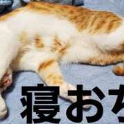 ヒメ日記 2025/12/16 07:11 投稿 ゆり 水戸角海老