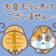 ヒメ日記 2026/02/12 08:01 投稿 ゆり 水戸角海老