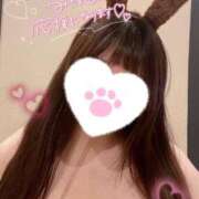 ヒメ日記 2024/12/22 10:23 投稿 あずさ 白いぽっちゃりさん