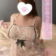 ヒメ日記 2024/12/29 12:37 投稿 あずさ 白いぽっちゃりさん