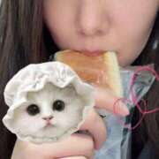 ヒメ日記 2026/02/18 06:00 投稿 まりな（花嫁） Yシャツと私