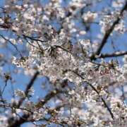 ヒメ日記 2026/03/30 09:28 投稿 まりな（花嫁） Yシャツと私