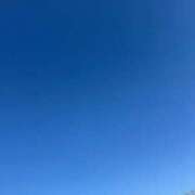 ヒメ日記 2025/12/01 09:48 投稿 しおり 那珂川角海老