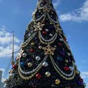 ヒメ日記 2025/12/25 09:53 投稿 しおり 那珂川角海老