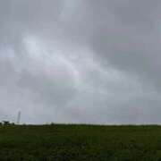 ヒメ日記 2026/06/08 09:43 投稿 しおり 那珂川角海老
